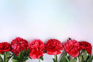 Similar image 21835470