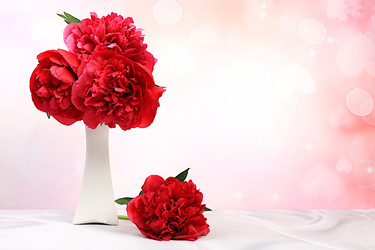 Similar image 21835472