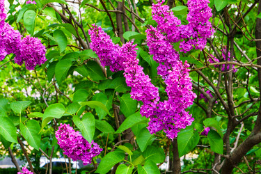 Similar image 21845842