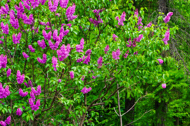 Similar image 21845843