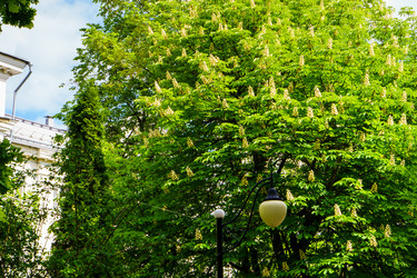 Similar image 21845844