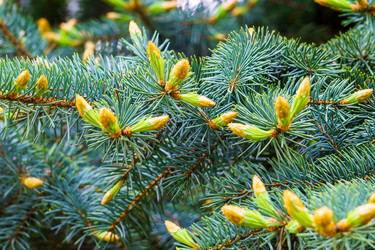 Similar image 21848986