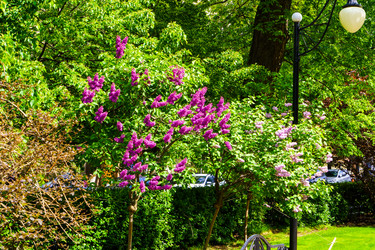 Similar image 21848987