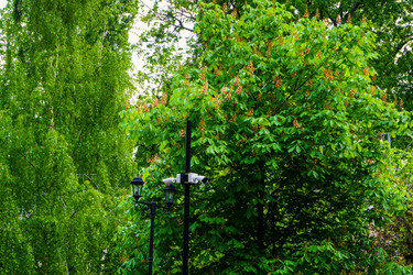 Similar image 21848988