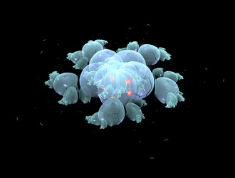 Similar image 21839872