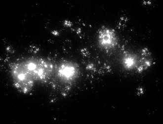 Similar image 21839887