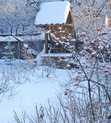 Similar image 21836794