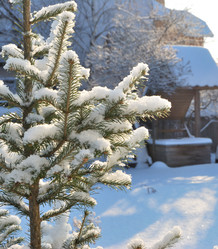 Similar image 21836795