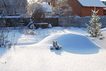 Similar image 21837091