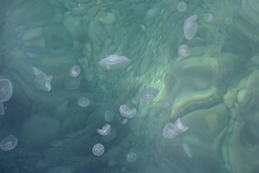 Similar image 21837092