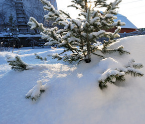 Similar image 21837093