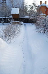 Similar image 21837094