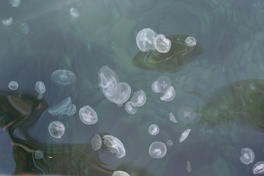 Similar image 21837095