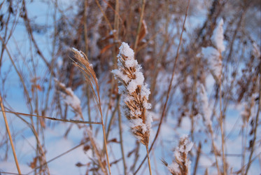 Similar image 21837106