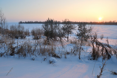 Similar image 21837109