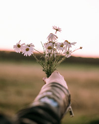 Similar image 21847835