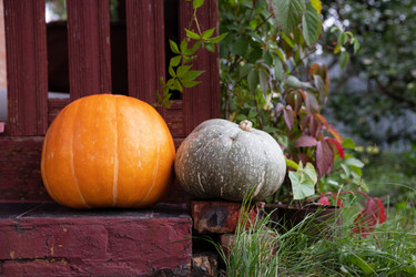 Similar image 21841308