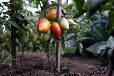 Similar image 21841314