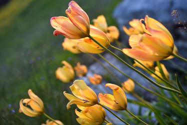 Similar image 21836829