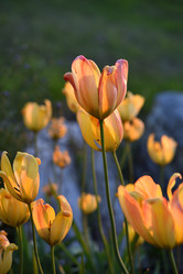 Similar image 21836830