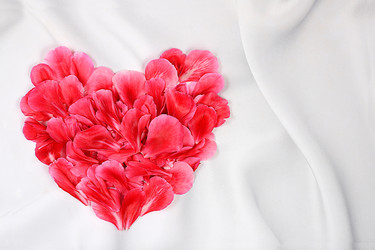 Similar image 21838545