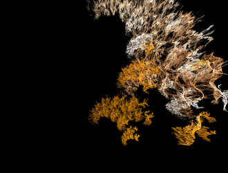 Similar image 21839920