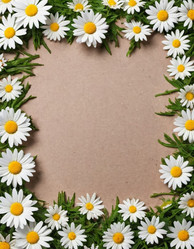 Similar image 21846025