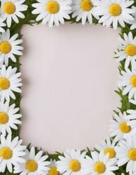 Similar image 21846027