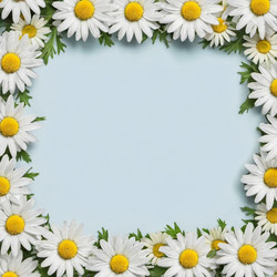 Similar image 21846028