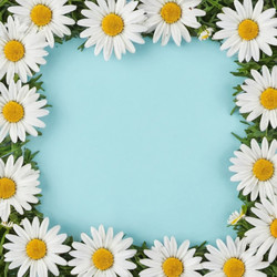 Similar image 21846030