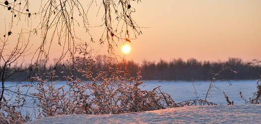 Similar image 21838553