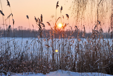 Similar image 21838557