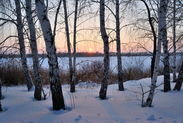 Similar image 21838558