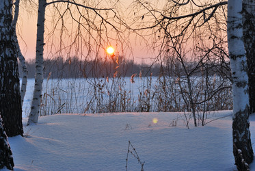 Similar image 21838559