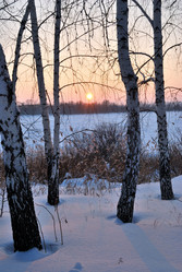 Similar image 21838560