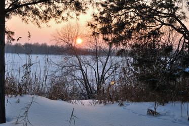 Similar image 21838561