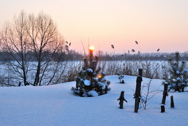 Similar image 21838563