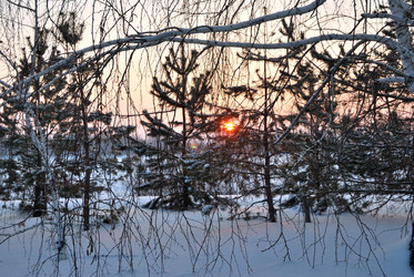 Similar image 21838566