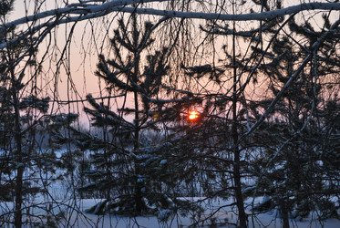 Similar image 21838568