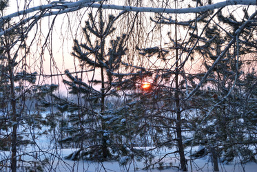 Similar image 21838571