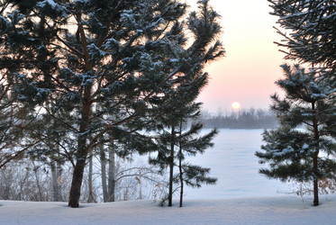 Similar image 21838574