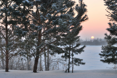 Similar image 21838575