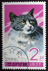 Similar image 21845791