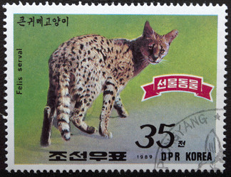 Similar image 21849163