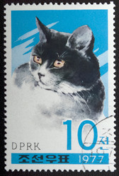 Similar image 21845792