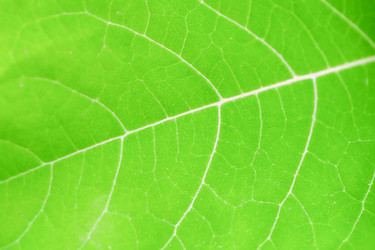 Similar image 21838627