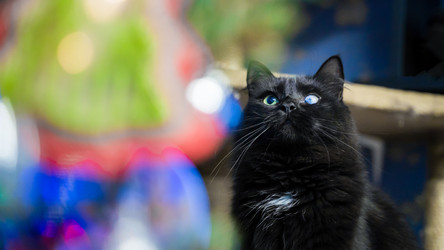 Similar image 21838629