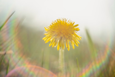 Similar image 21838633