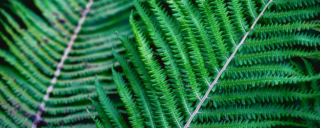 Similar image 21838634