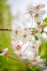 Similar image 21838635